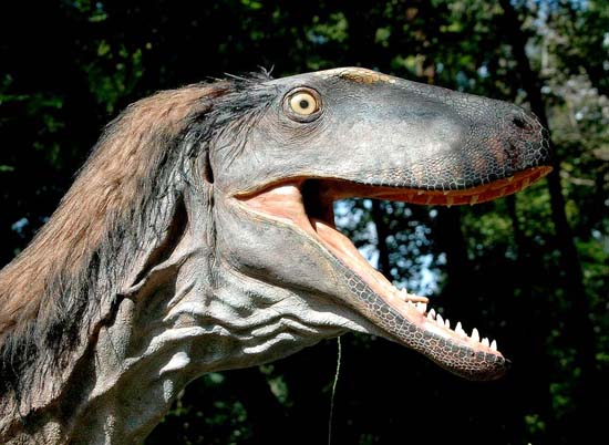 Picture 2 of Dinosaurs grow feathers due to the harsh climate