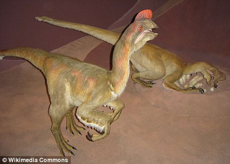 Picture 1 of Dinosaurs have colorful tail like peacock birds