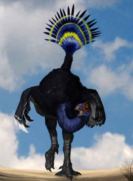 Picture 3 of Dinosaurs have colorful tail like peacock birds
