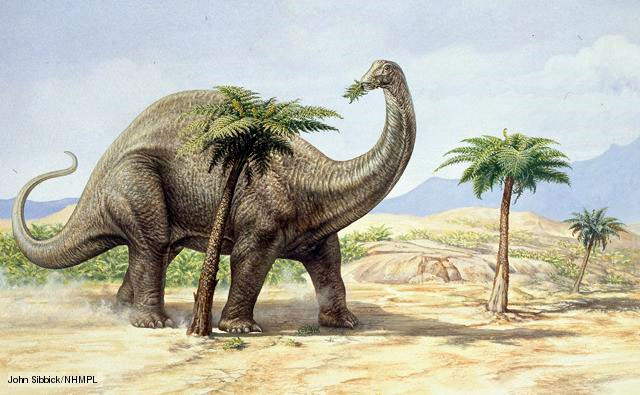Picture 1 of Dinosaurs heat the Earth?