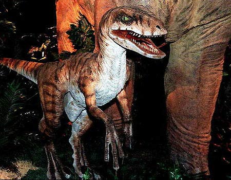 Picture 2 of Dinosaurs 'love' soon