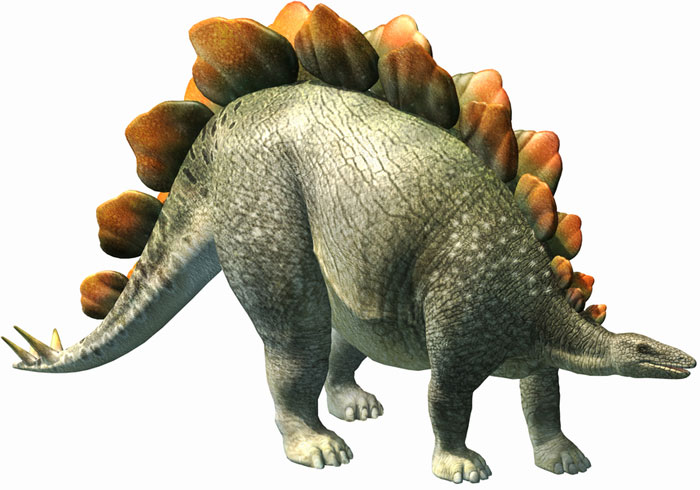 Picture 1 of Dinosaurs weigh 3 tons but the brain is just like a dog's brain