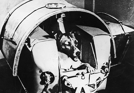 Picture 10 of Disaster in space