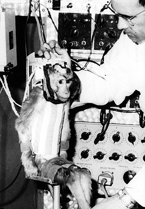 Picture 6 of Disaster in space