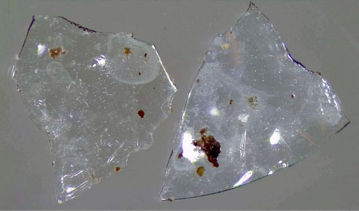 Picture 3 of Discharging old contact lenses into the toilet - a huge danger to the environment