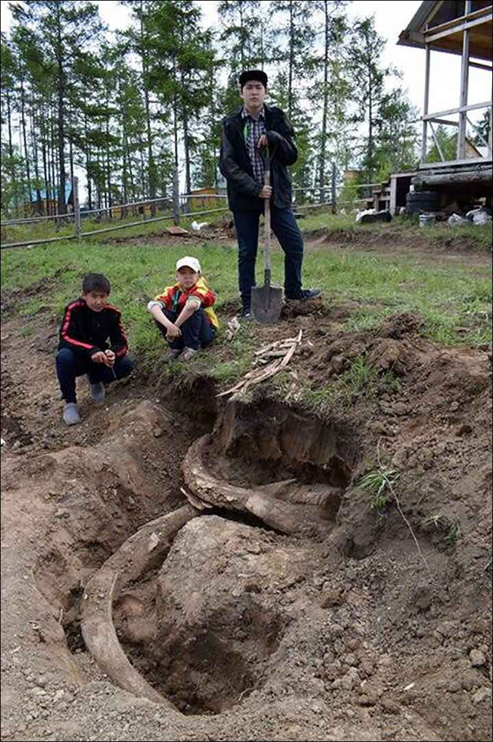 Picture 1 of Discover 400,000 years of mammoth tusks in Siberia