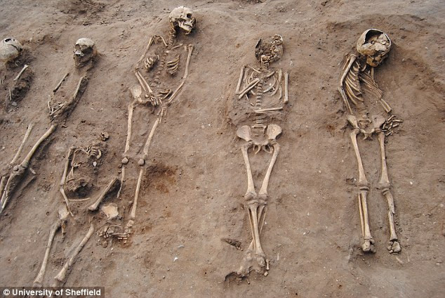 Picture 1 of Discover 48 mysterious bones about 'black death'