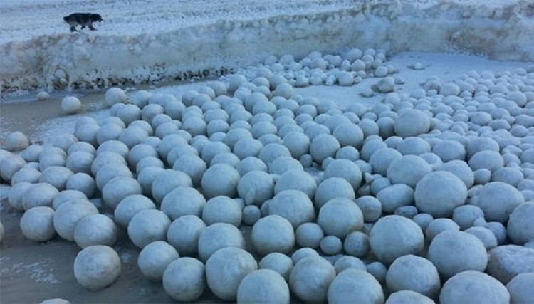 Picture 2 of Discover amazing snow ice phenomena