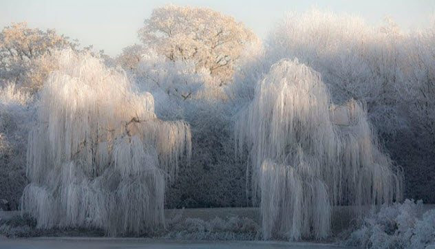 Picture 3 of Discover amazing snow ice phenomena