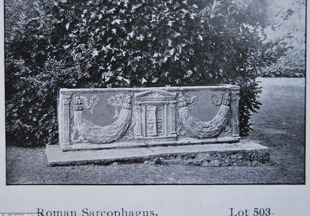 Picture 2 of Discover an ancient coffin in the bush
