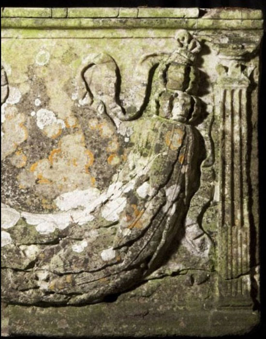 Picture 4 of Discover an ancient coffin in the bush