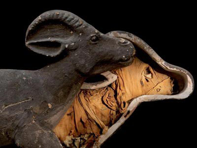 Picture 1 of Discover animal mummies in Egypt