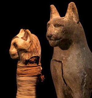 Picture 15 of Discover animal mummies in Egypt