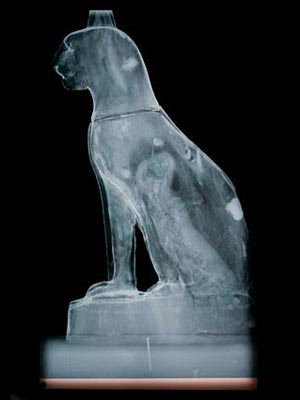 Picture 16 of Discover animal mummies in Egypt