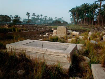 Picture 17 of Discover animal mummies in Egypt