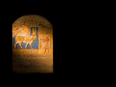 Picture 18 of Discover animal mummies in Egypt