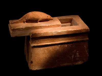Picture 20 of Discover animal mummies in Egypt