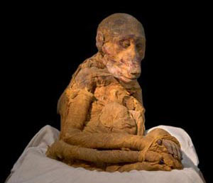 Picture 23 of Discover animal mummies in Egypt