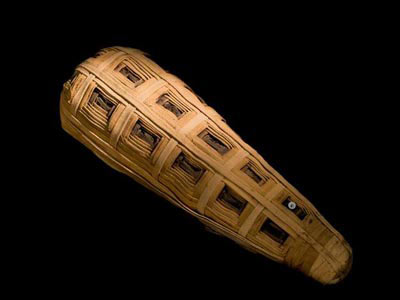 Picture 5 of Discover animal mummies in Egypt