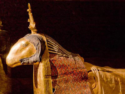 Picture 7 of Discover animal mummies in Egypt