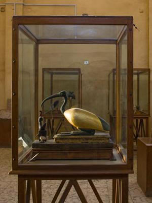 Picture 8 of Discover animal mummies in Egypt