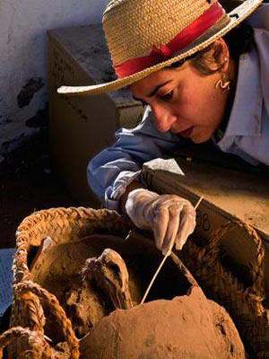 Picture 9 of Discover animal mummies in Egypt