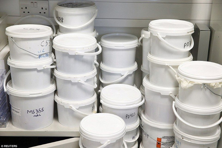 Picture 3 of Discover Britain's largest brain bank