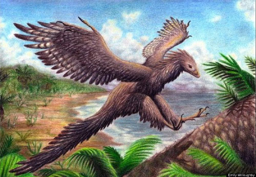 Picture 10 of Discover dinosaurs 'armored' never known