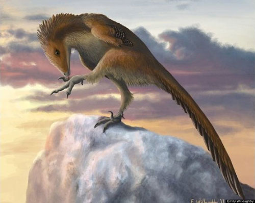 Picture 12 of Discover dinosaurs 'armored' never known
