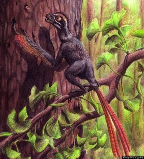 Picture 13 of Discover dinosaurs 'armored' never known
