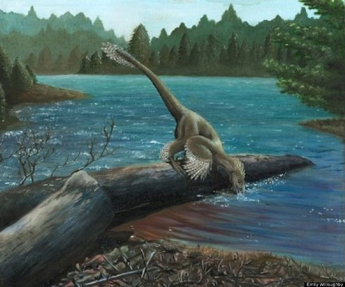 Picture 14 of Discover dinosaurs 'armored' never known