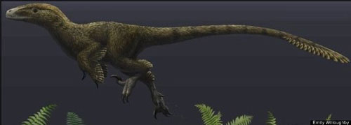 Picture 5 of Discover dinosaurs 'armored' never known