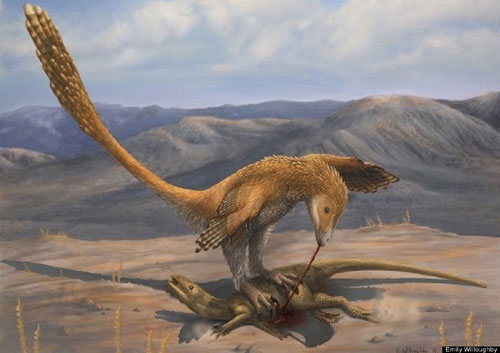 Picture 6 of Discover dinosaurs 'armored' never known
