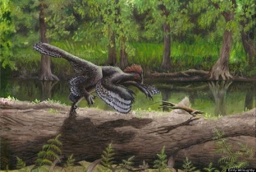 Picture 8 of Discover dinosaurs 'armored' never known