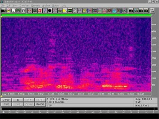 Picture 3 of Discover EVP - Soul recording tool