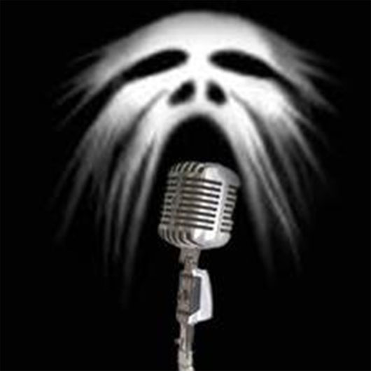 Picture 4 of Discover EVP - Soul recording tool