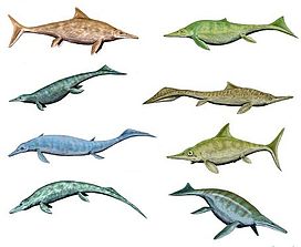 Picture 2 of Discover extinct fish lizards 25 years ago