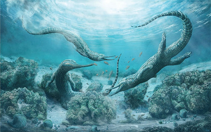 Picture 2 of Discover giant monsters on the Alps