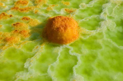 Picture 8 of Discover 'hell' on Earth