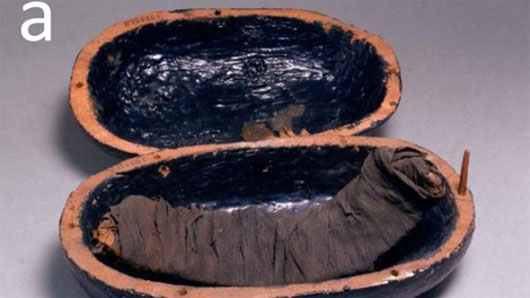 Picture 1 of Discover 'horror' food of Egyptian mummies