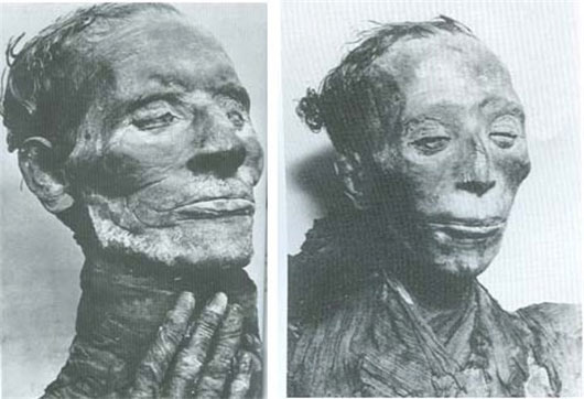 Picture 3 of Discover 'horror' food of Egyptian mummies