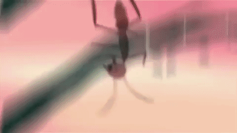 Picture 3 of Discover how parasites control host behavior