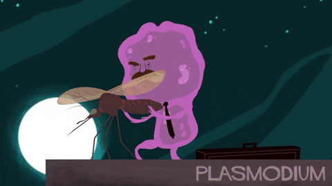 Picture 4 of Discover how parasites control host behavior