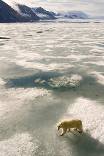 Picture 4 of Discover life in a place where there is no summer