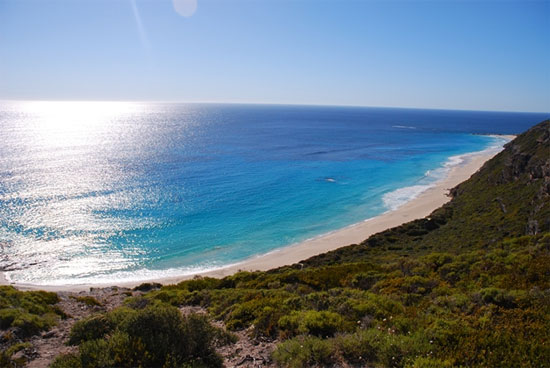 Picture 1 of Discover Margaret River's 'green paradise'
