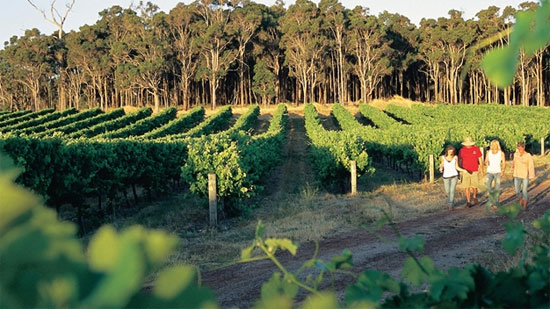 Picture 6 of Discover Margaret River's 'green paradise'