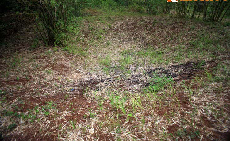 Picture 10 of Discover military wonders on Quang Tri fire land