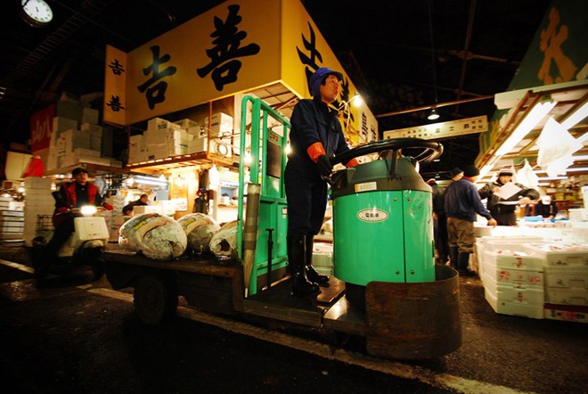 Picture 6 of Discover million dollar tuna market in Japan