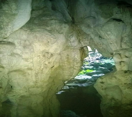Picture 1 of Discover new 'cave' in Phong Nha - Ke Bang National Park