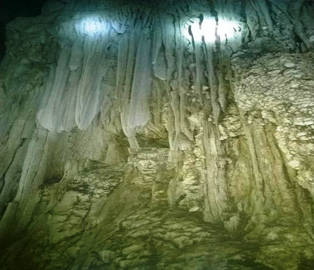 Picture 2 of Discover new 'cave' in Phong Nha - Ke Bang National Park